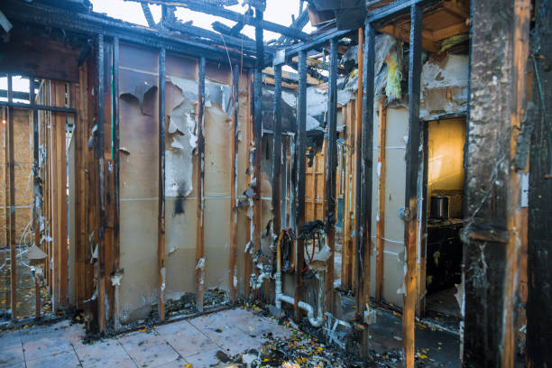 Professional Fire Damage Removal technician working in Spring Valley, AZ