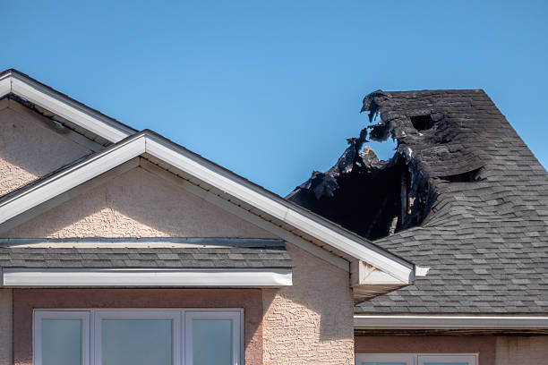 Top rated local Fire Damage Removal specialists in Spring Valley, AZ